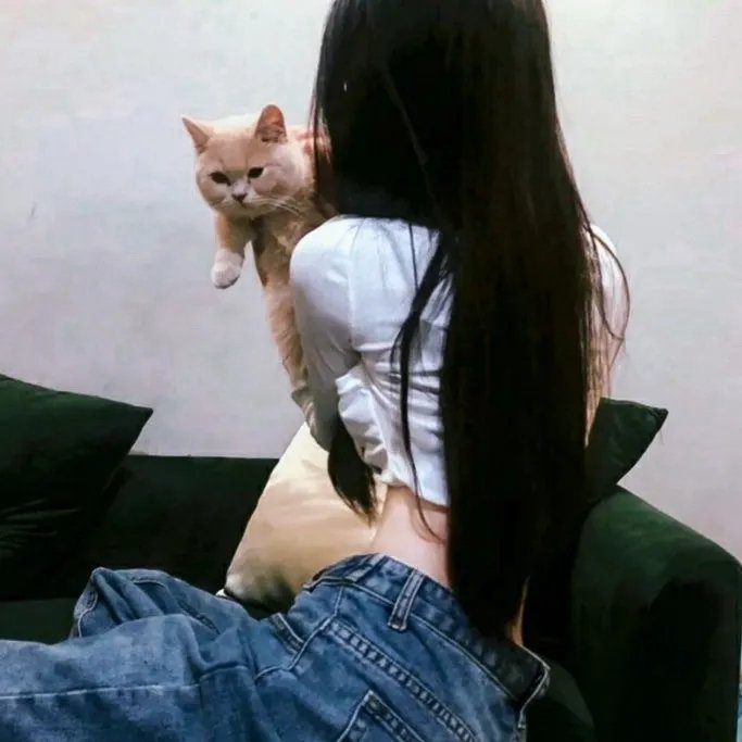 我的阿米什人双重生活